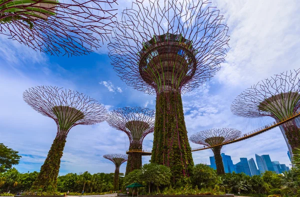 Park Gardens by the Bay - Singapur —  Fotos de Stock