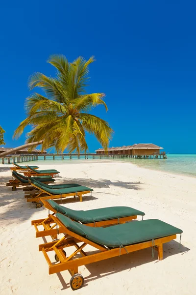 Solstolar på Maldiverna strand — Stockfoto