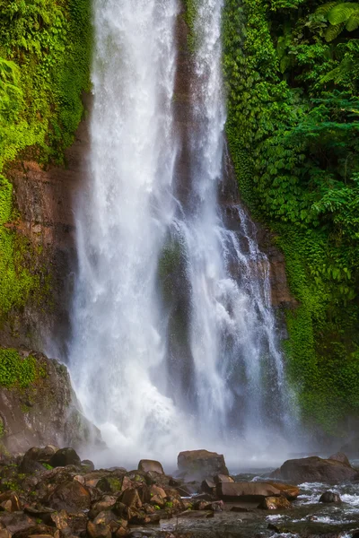 Cascada de Gitgit - Isla de Bali Indonesia — Foto de Stock