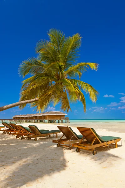 Cama de sol na praia das maldivas — Fotografia de Stock