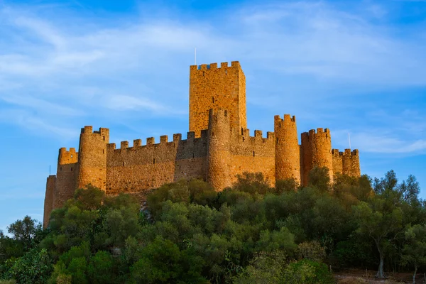 Hrad Almourol - Portugalsko — Stock fotografie