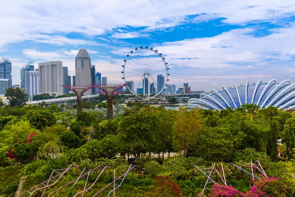 Park Gardens by the Bay - Singapur —  Fotos de Stock