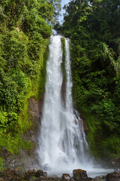 Gitgit Waterfall - Bali island Indonesia — Stock Photo, Image