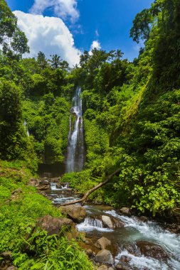 Sekumpul şelale - Bali Adası Endonezya