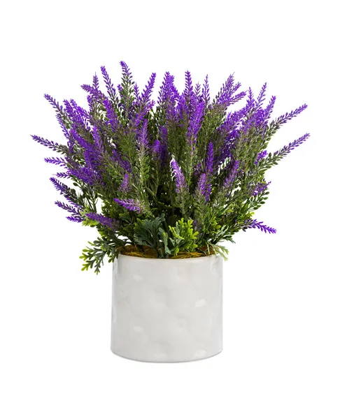 Lavendel in vase — Stockfoto
