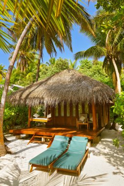 Beach bungalow - Maldivler