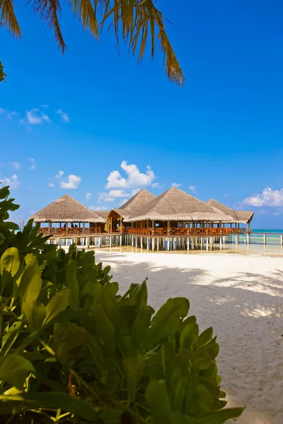 Cafe on tropical Maldives island — Stock Photo, Image