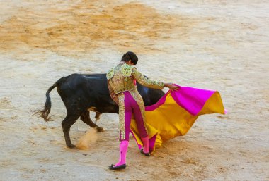 MOITA LISBON, PORTUGAL - SEPTEMBER 14: Matador and bull in toura clipart
