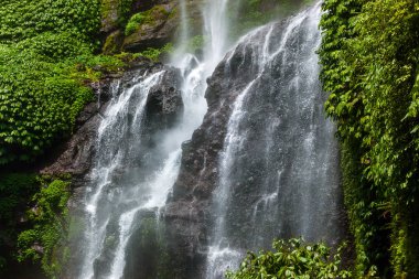 Sekumpul şelale - Bali Adası Endonezya