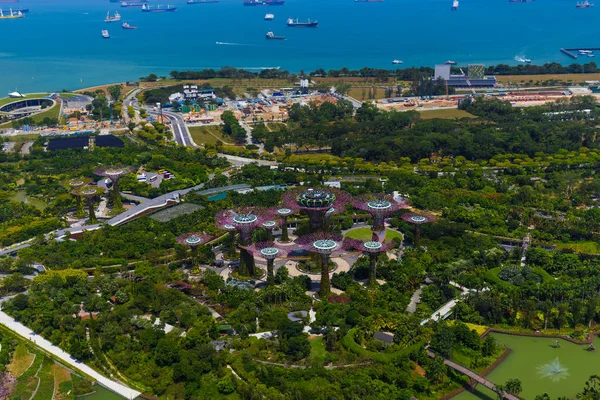 Park Gardens by the Bay - Cingapura — Fotografia de Stock