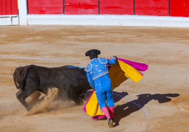 Moita Lizbon, Portekiz - 14 Eylül: Matador ve boğa toura