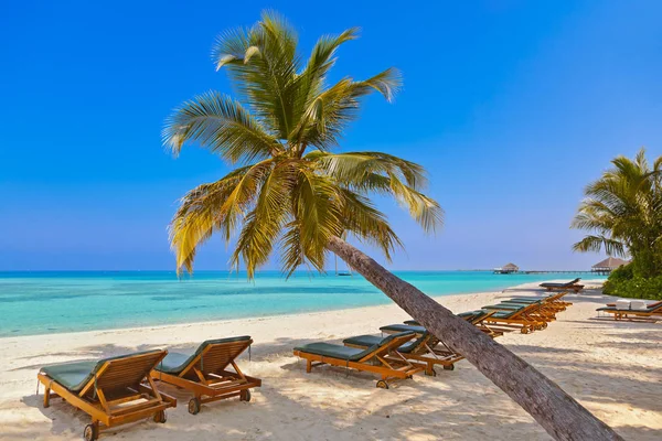 Maldivler plaj - doğa tatil arka plan — Stok fotoğraf
