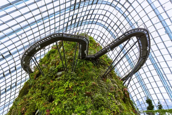 Cloud Forest Dome at Gardens by the Bay in Singapore — Stock Photo, Image