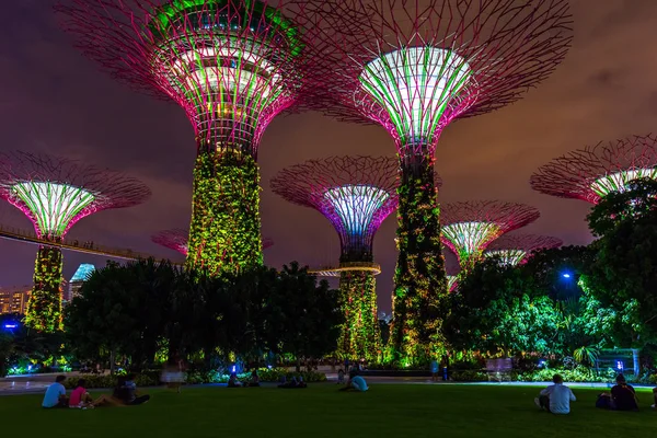 Park Gardens by the Bay - Singapur —  Fotos de Stock