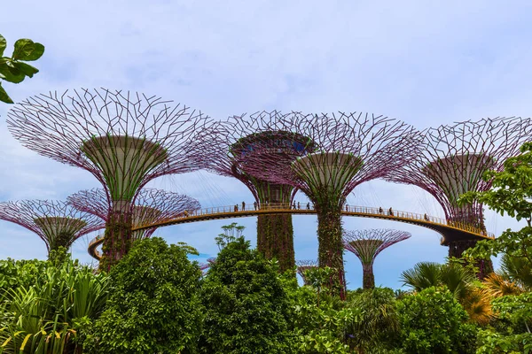 Park Gardens by the Bay - Cingapura — Fotografia de Stock