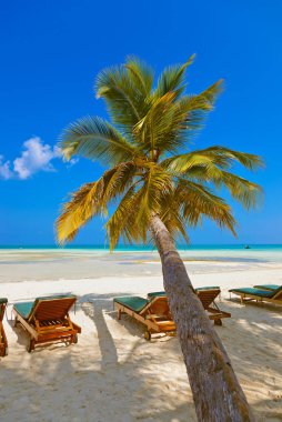 Maldivler plajda şezlong