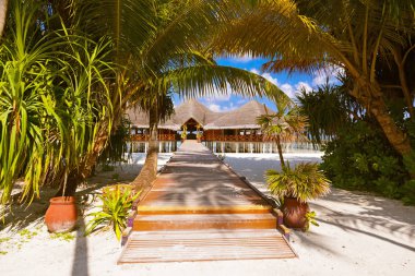 Tropik Maldivler ada Cafe