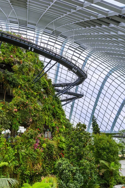 Kopuły Cloud Forest w ogrodach nad zatoką w mieście Singapur — Zdjęcie stockowe