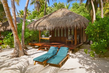 Beach bungalow - Maldivler