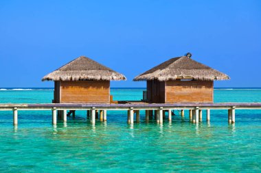 Tropik Maldivler adasındaki bungalovlar