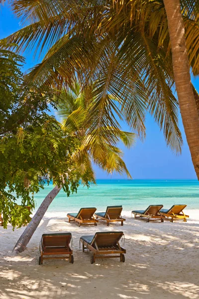 Reposeras en la playa de Maldivas — Foto de Stock