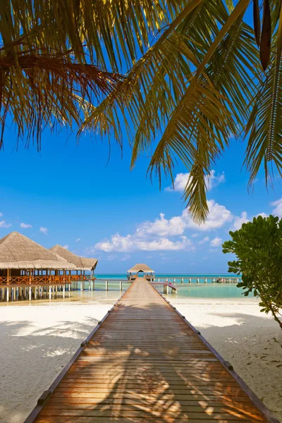 Cafe on tropical Maldives island — Stock Photo, Image