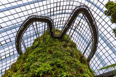 Bulut orman kubbe Gardens Singapur Bay tarafından