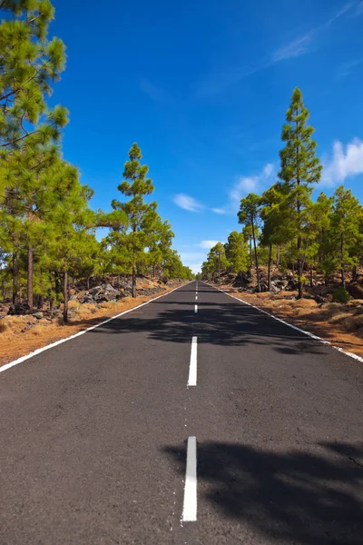 Estrada para o vulcão Teide na ilha de Tenerife - Canário — Fotografia de Stock