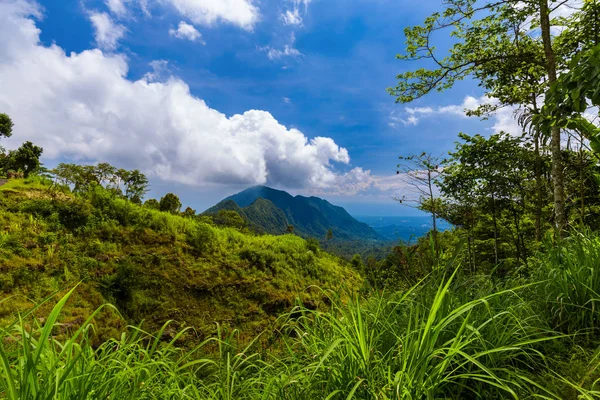 Bergen landschap - Bali eiland Indonesië — Stockfoto