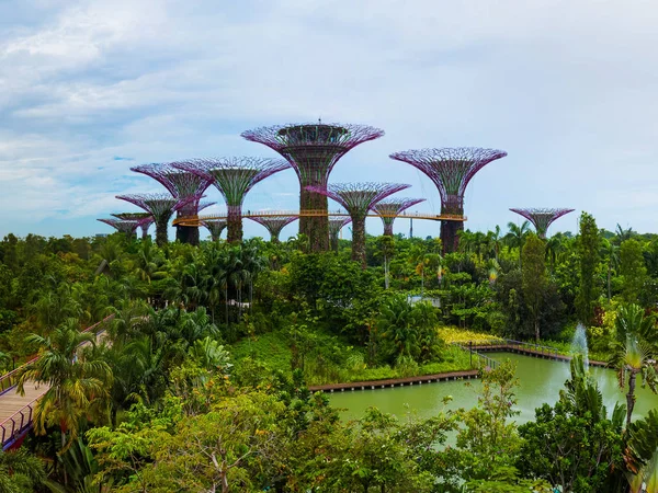 Park Gardens by the Bay - Singapore — Stock Photo, Image