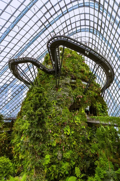Kopuły Cloud Forest w ogrodach nad zatoką w mieście Singapur — Zdjęcie stockowe