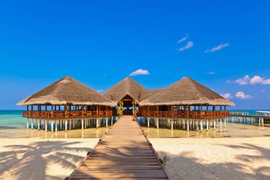 Tropik Maldivler ada Cafe