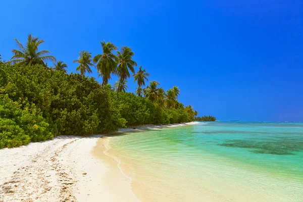 Ilha das maldivas tropicais — Fotografia de Stock