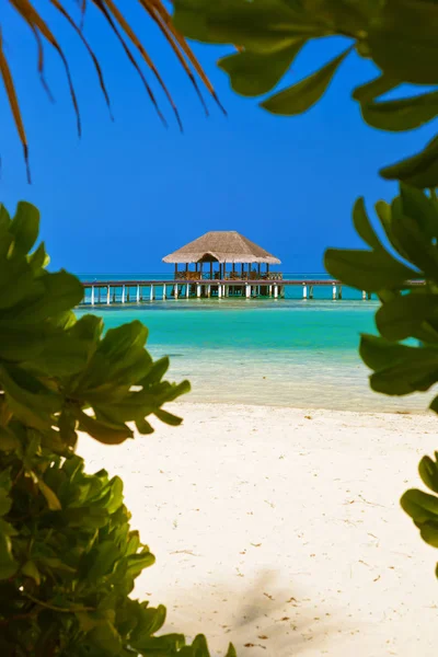 Café en la isla tropical de Maldivas —  Fotos de Stock