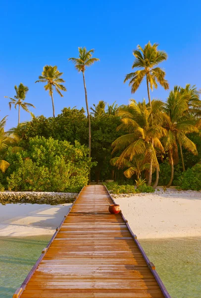 Ilha das maldivas tropicais — Fotografia de Stock