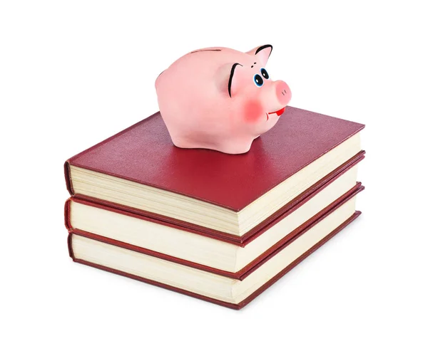 Piggy bank en boeken — Stockfoto