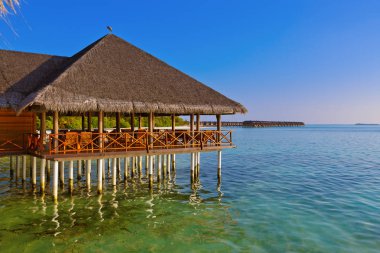 Tropik Maldivler ada Cafe