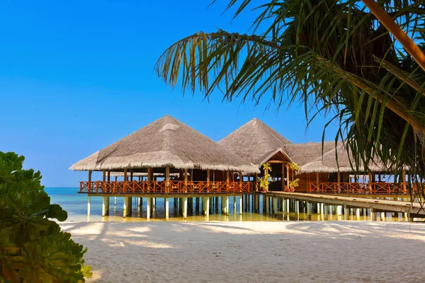 Cafe på tropisk Maldiverna ö — Stockfoto