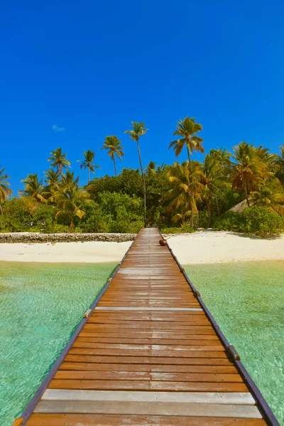 Molo e spiaggia alle Maldive — Foto Stock