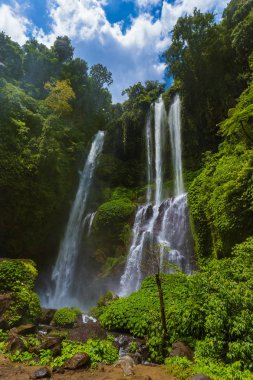 Sekumpul şelale - Bali Adası Endonezya