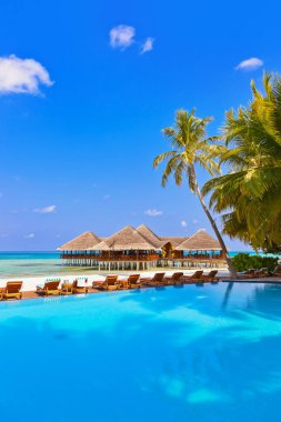 Havuzu ve Maldivler Beach Cafe