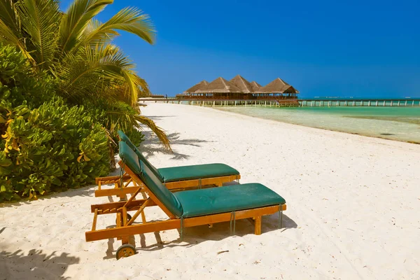 Sunbed on Maldives beach — Stock Photo, Image