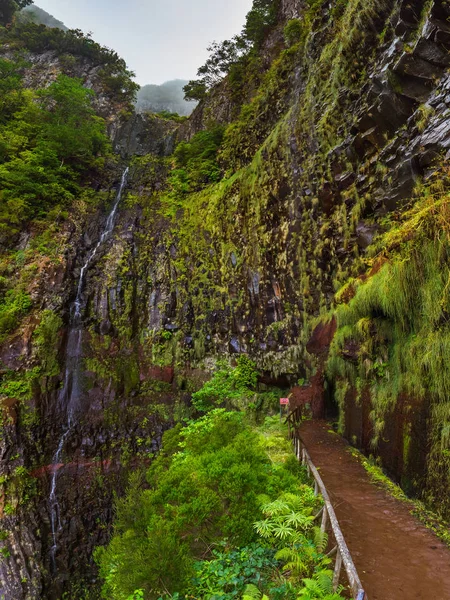 Risco levada na Madeiře Portugalsko — Stock fotografie