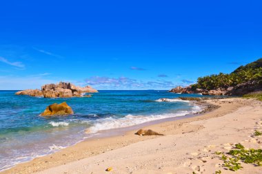 Seyşel Adaları, tropik sahil