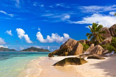 tropikal plaj sandalyeleri