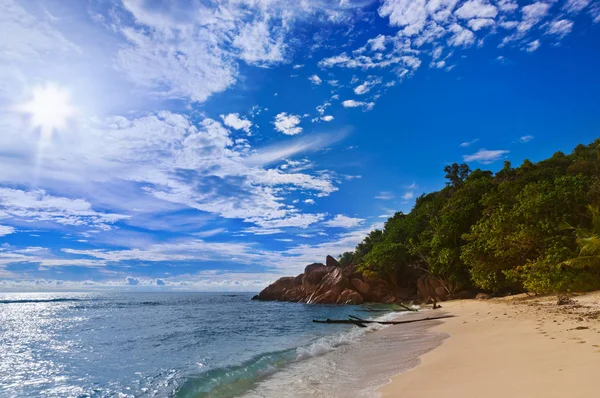 Seychelles playa tropical al atardecer — Foto de Stock