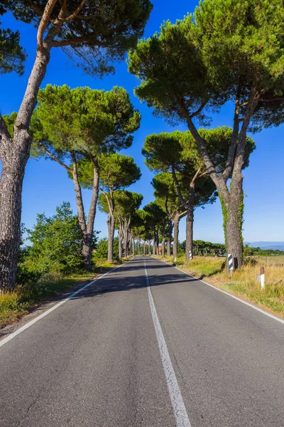 Estrada na Toscana Itália — Fotografia de Stock