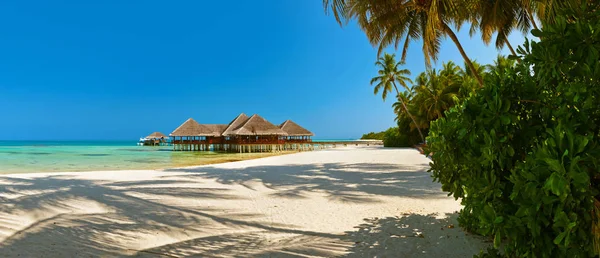 Tropical Maldives island — Stock Photo, Image