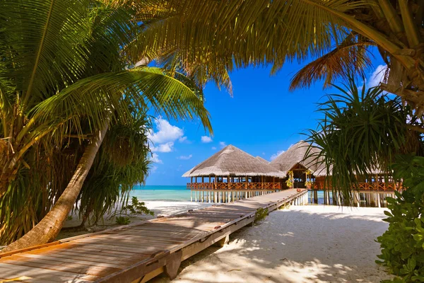 Café en la isla tropical de Maldivas — Foto de Stock