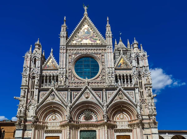 Duomo Siena - Toskana İtalya — Stok fotoğraf